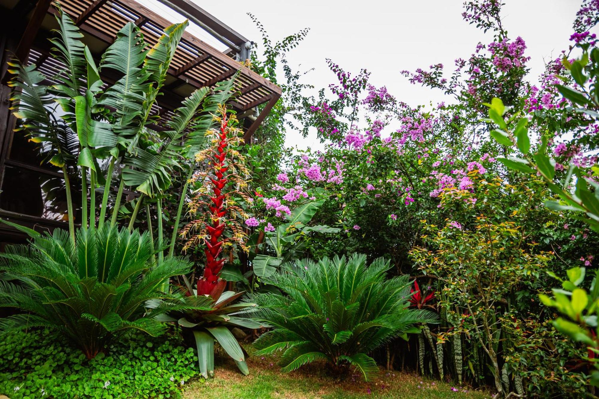 Ibiraquera Life Villa Praia do Rosa Bagian luar foto